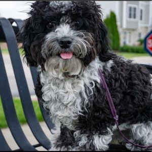 Meet your Posher, Jonathan